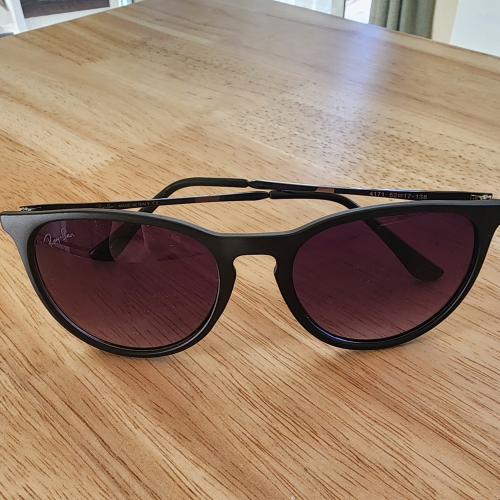 Ray-Ban Erika Black Sunglasses